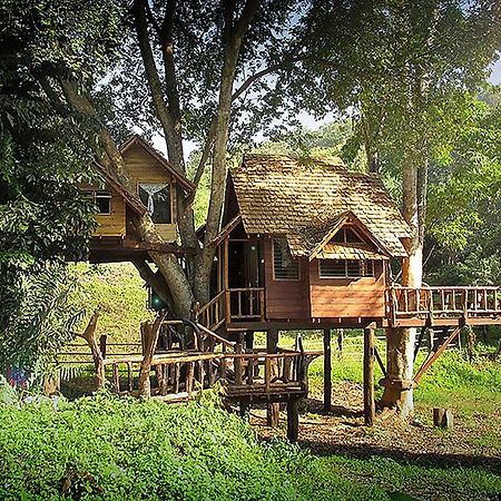 Rabeang Pasak Treehouse Resort شيانغ ماي المظهر الخارجي الصورة