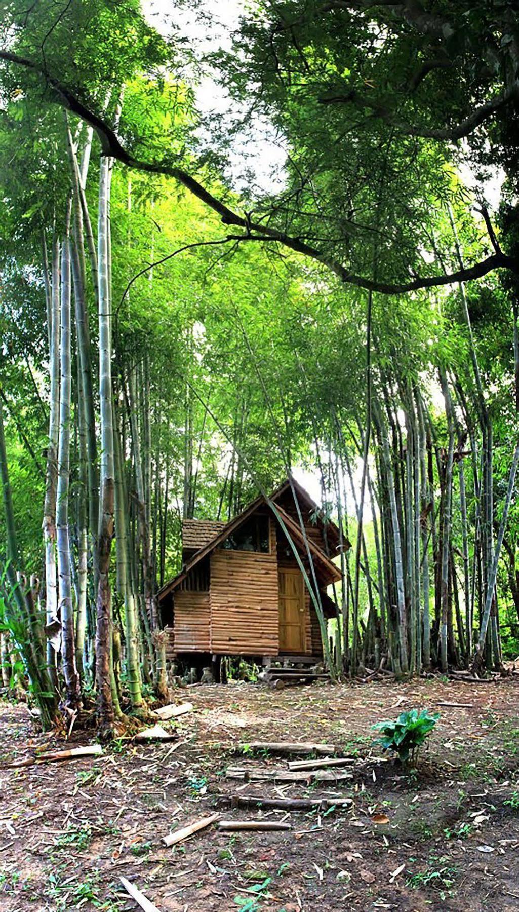 Rabeang Pasak Treehouse Resort شيانغ ماي المظهر الخارجي الصورة